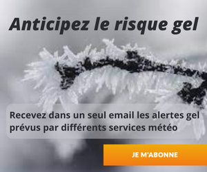 Alerte gel comparée de plusieurs services météo